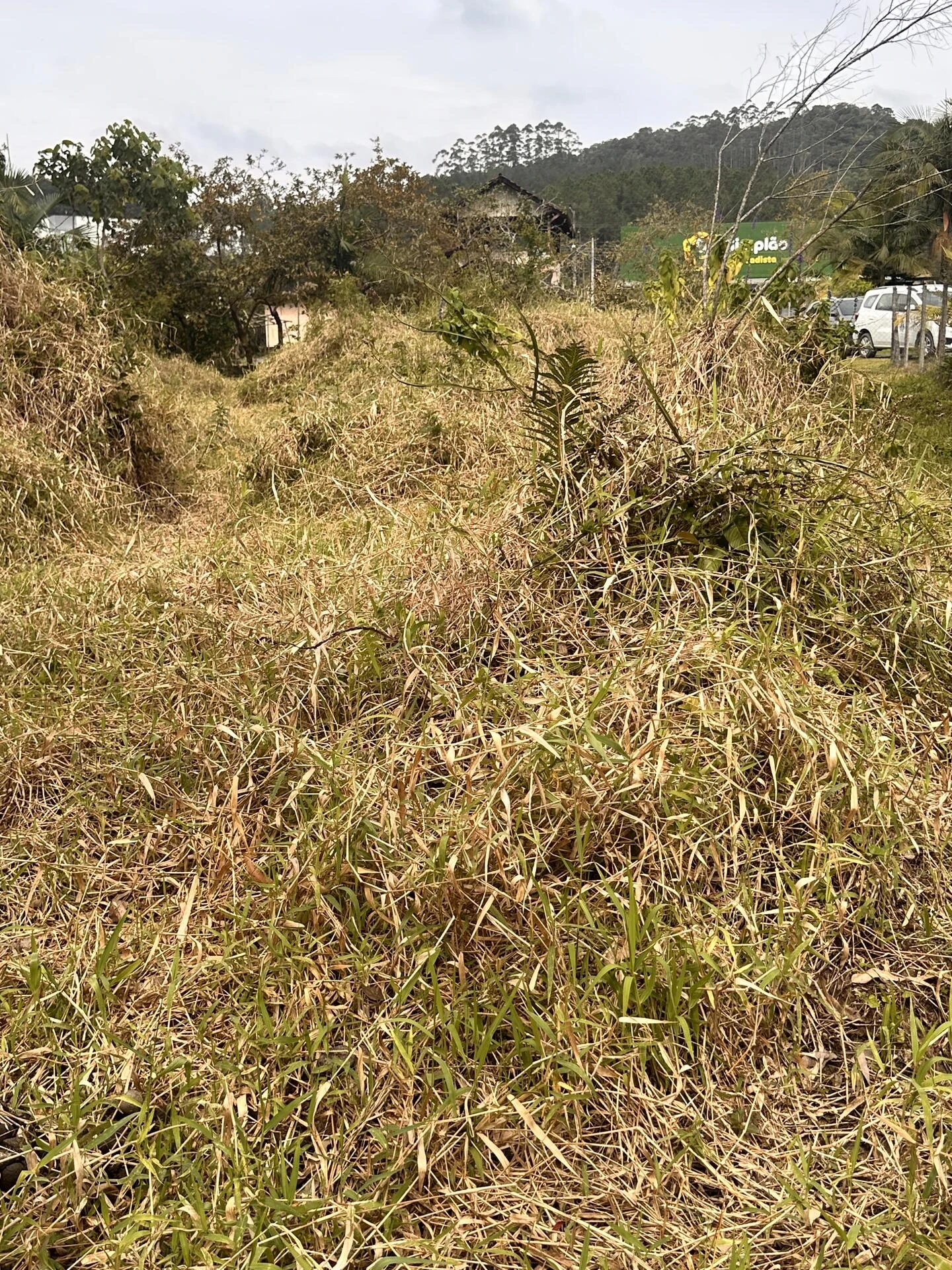 Lote Composto de 2 imóveis urbanos em Doutor Pedrinho/SC em Doutor Pedrinho - Santa Catarina