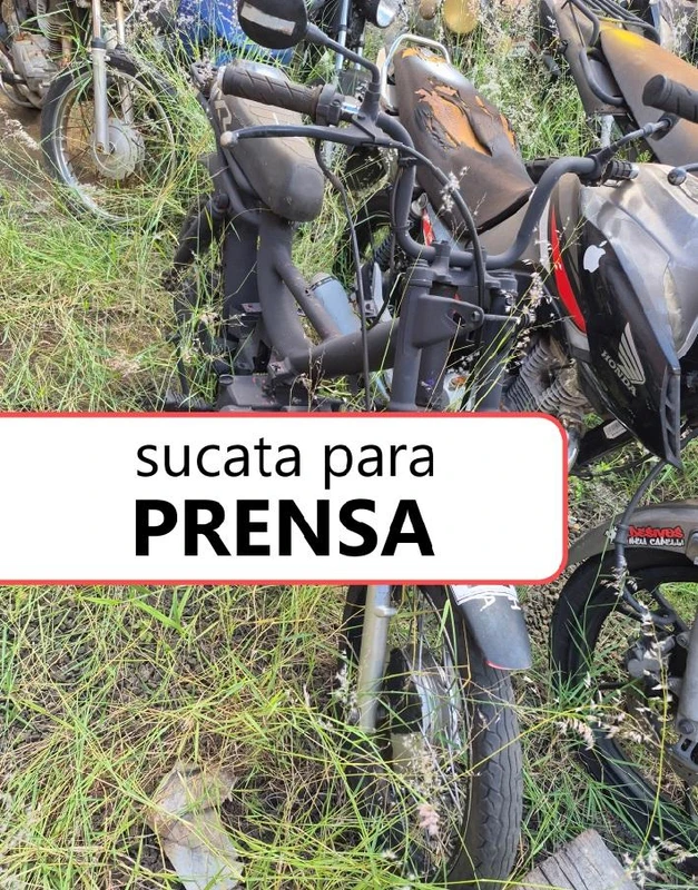 Ducimus recusandae similique.