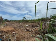 Terreno Terreno no Parque das Árvores em Parnamirim/RN em Parnamirim - Rio Grande do Norte