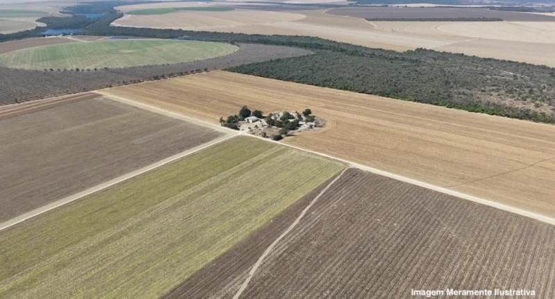 Fazenda Fazenda Pequi na Chapada em Bonfinópolis/MG em Bonfinópolis De Minas - Minas Gerais