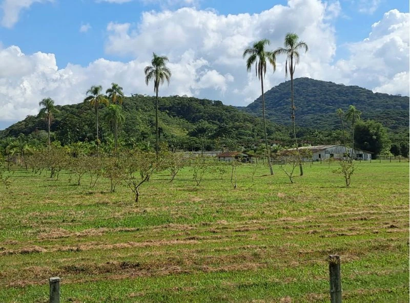Terreno no Praia Bonita em São Francisco do Sul/SC em São Francisco Do Sul - Santa Catarina