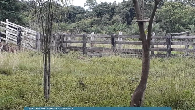 Chácara com 19.36 ha em Araguatins/TO em Araguatins - Tocantins