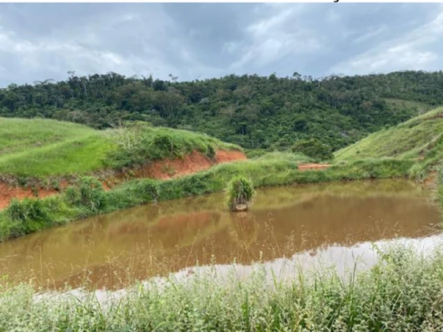 Fazenda com 90.41 Ha em Teófilo Otoni/MG em Teófilo Otoni - Minas Gerais
