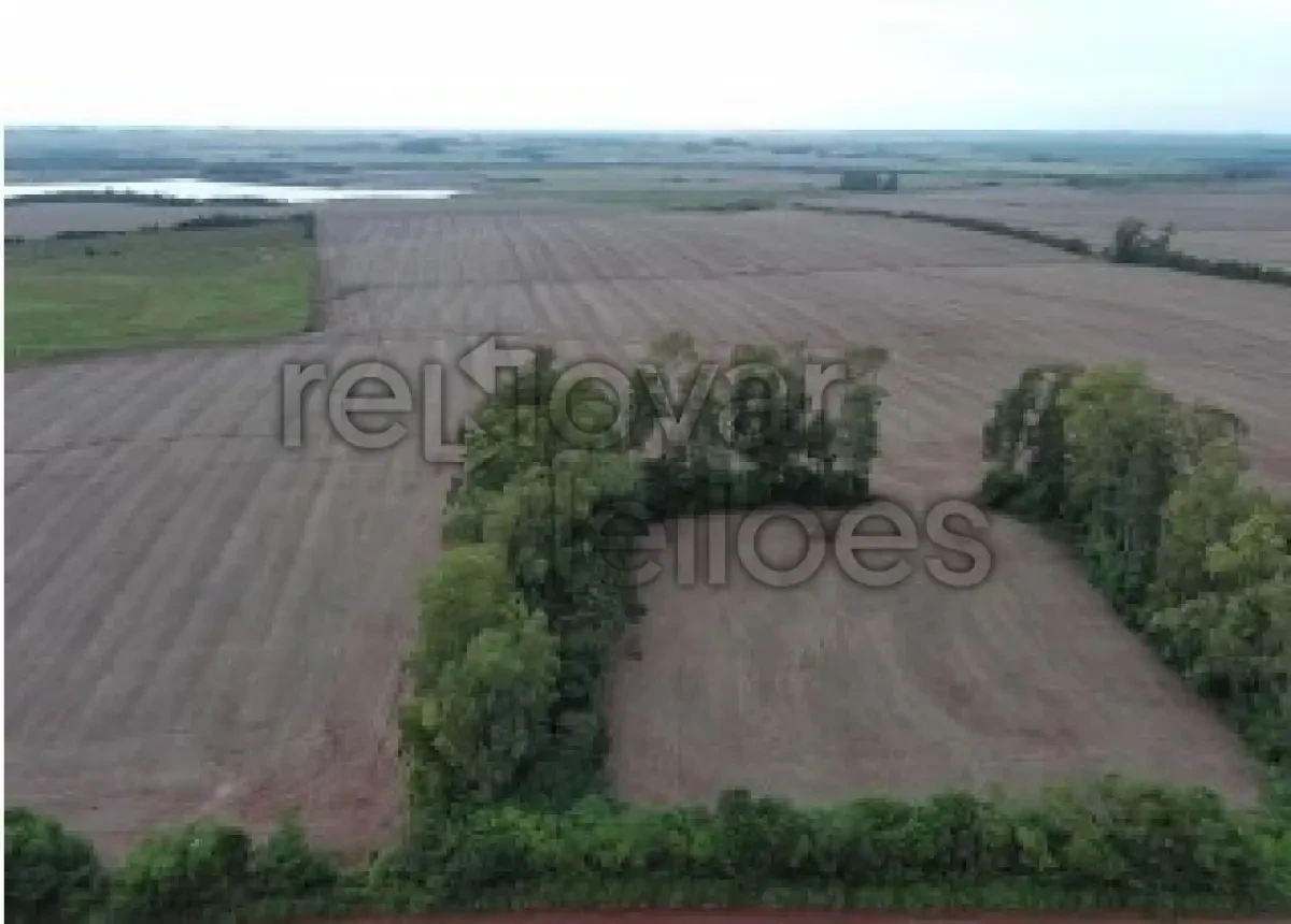 Terreno com 9 Ha em Santo Antônio das Missões/RS em Santo Antônio Das Missões - Rio Grande do Sul
