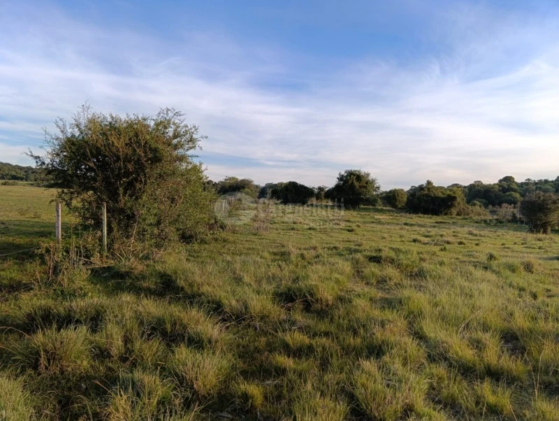 Terreno com Área Remanescente em Jóia/RS em Jóia - Rio Grande do Sul