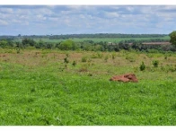 Sítio com 37,47 ha em São Francisco de Sales/MG em São Francisco De Sales - Minas Gerais