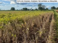 Terreno Parte ideal de 6,05 ha em São Miguel do Guaporé/RO em São Miguel Do Guaporé - Rondônia