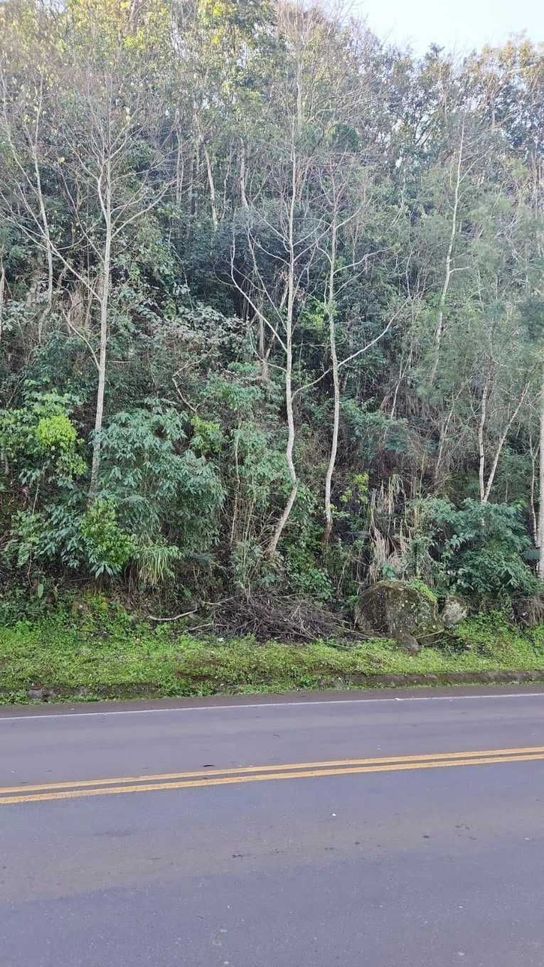 Terreno no Mondai/SC em Mondaí - Santa Catarina