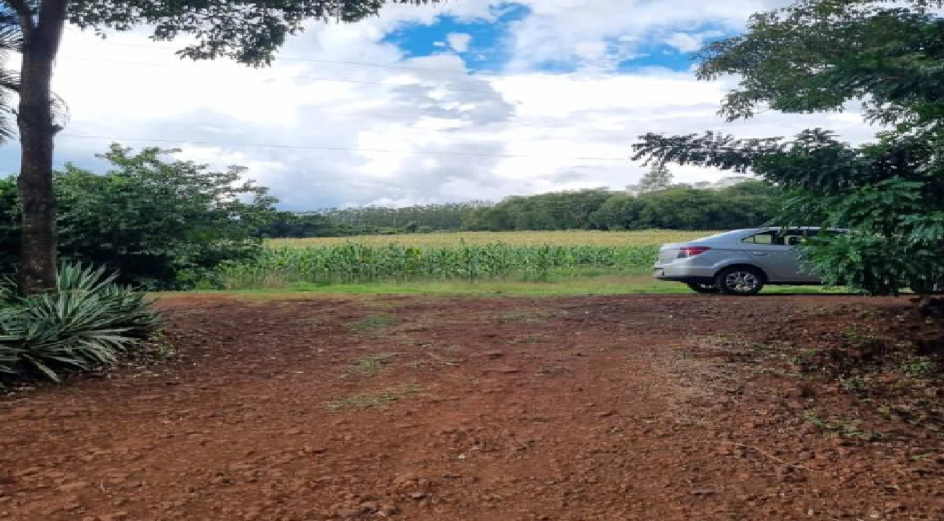 Chácara com 2,538 alq em Mercedes/PR em Mercedes - Paraná