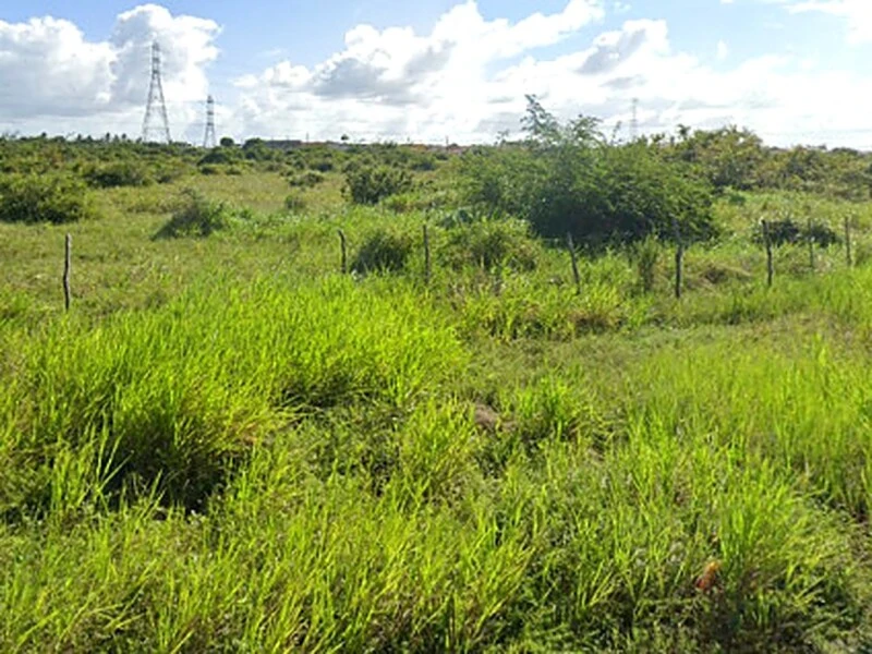 Terreno Gleba Urbana 03 em São Gonçalo do Amarante/RN em São Gonçalo Do Amarante - Rio Grande do Norte