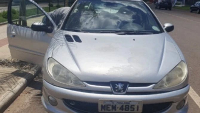 Peugeot 206 Feline 2005 em Saudades - Santa Catarina