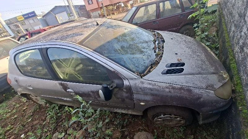 Peugeot 206 Presence FX 2008 em São Miguel Do Oeste - Santa Catarina