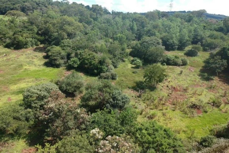 Terreno Terreno rural em Mercedes/PR em Mercedes - Paraná