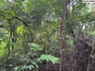Terreno em Cotia/SP em Cotia - São Paulo