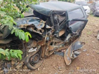 Fiat Uno Mille IE Mille IE 1995 Verde em Dourados - Mato Grosso do Sul