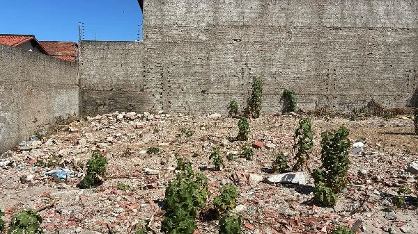 Terreno Terreno em Paracuru/CE em Paracuru - Ceará