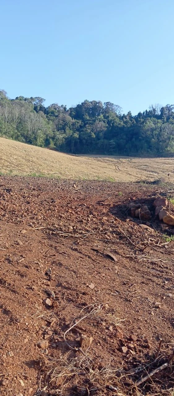 Terreno com 6165m² em Mondai/SC em Mondaí - Santa Catarina