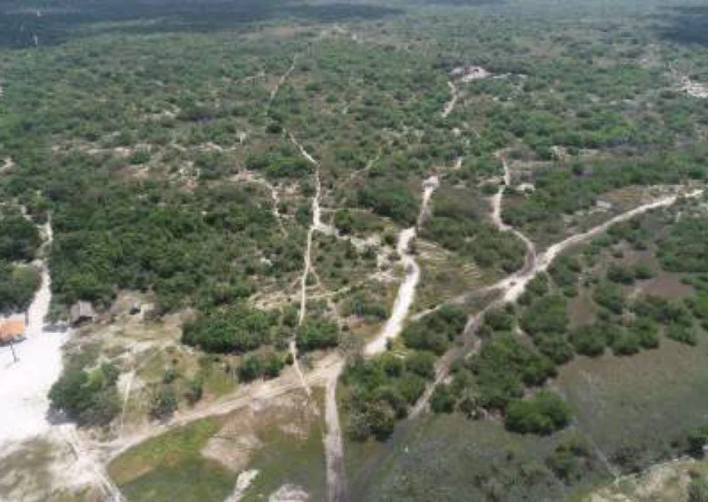 Terreno Terreno de 10.000 ha em Belágua/MA em Belágua - Maranhão