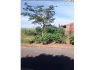 Terreno Terreno c/ 250m² em Catanduva/SP em Catanduva - São Paulo