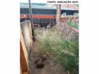 Casa com 1 Edícula em Piraju/SP em Piraju - São Paulo