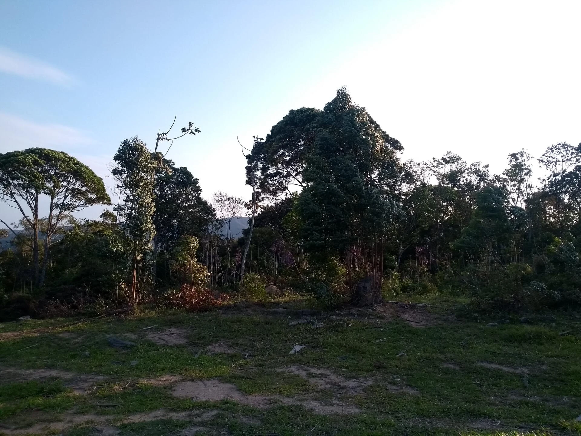 Sítio em Gravatal/SC em Gravatal - Santa Catarina