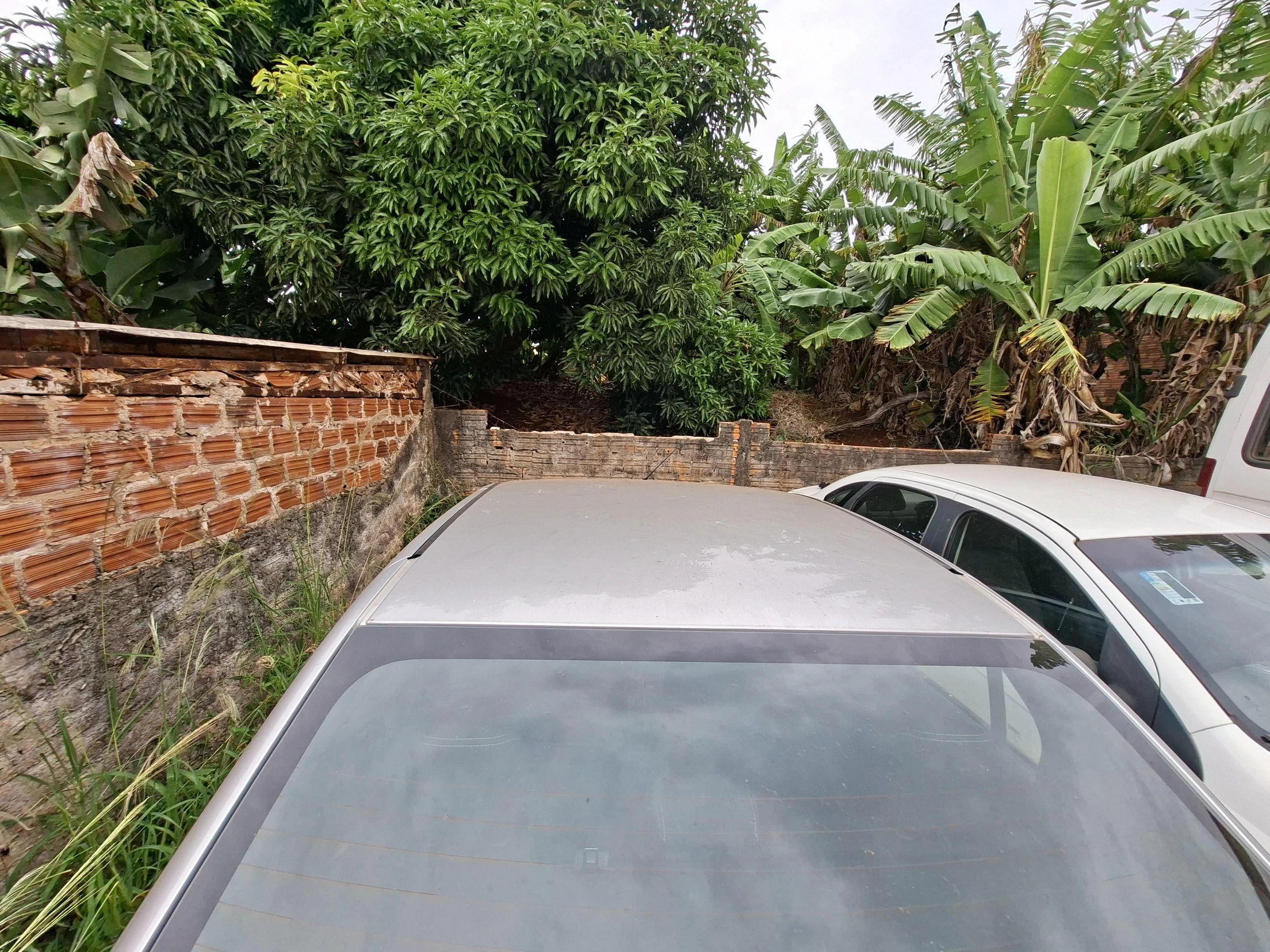 Renault Logan ICO16CVT 2019/2020 Automático em Nova América Da Colina - Paraná