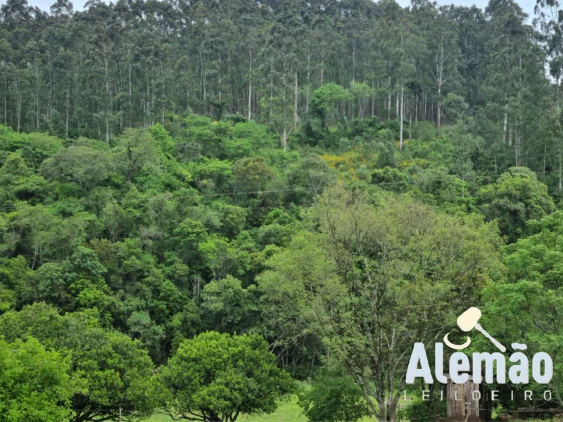 Terreno em Itapuca/RS em Itapuca - Rio Grande do Sul