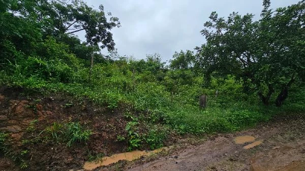 Terreno de 1150m² no Recanto Carpina em Lagoa Do Carro - Pernambuco