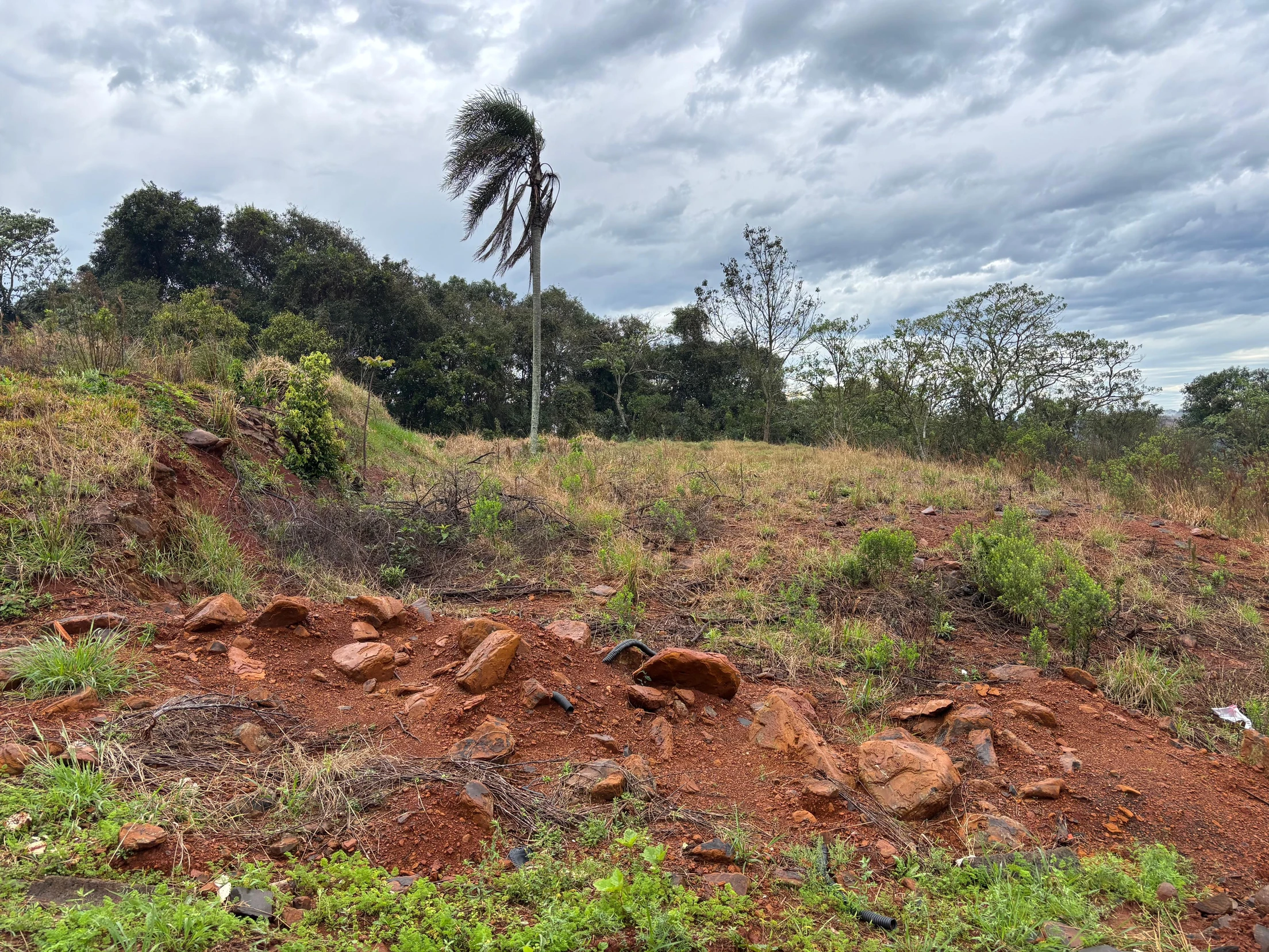 Terreno no Loteamento Della Betta em Francisco Beltrão/PR em Francisco Beltrão - Paraná