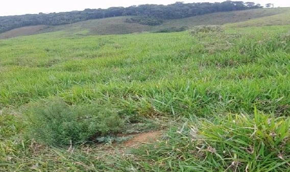 Terreno Gleba rural B em Torreões em Juiz De Fora - Minas Gerais