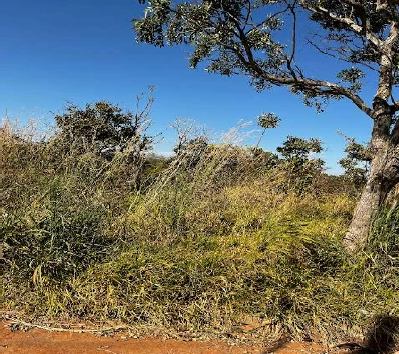 Terreno com 360m² em Luziânia/GO em Luziânia - Goiás