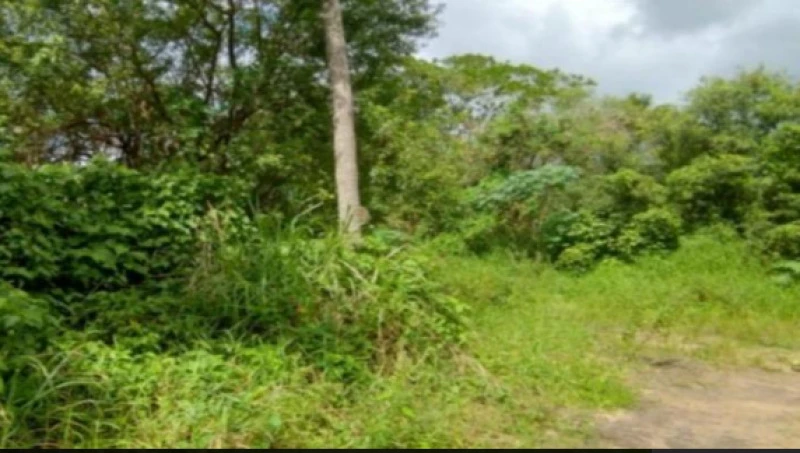 Terreno com 7 Hectares em Igarassu/PE em Igarassu - Pernambuco