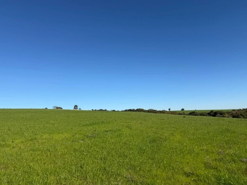 Terreno em Água Branca, Mormaço/RS em Mormaço - Rio Grande do Sul