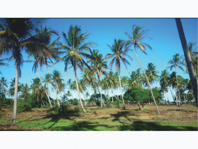 Terreno Terreno com frente ao mar em Caravelas/BA em Caravelas - Bahia