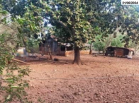 Terreno com 1,2 Ha em Cachoeira Dourada/GO em Cachoeira Dourada - Goiás