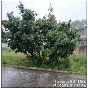 Terreno no Cond. Jardim Europa em Alta Floresta/MT em Alta Floresta - Mato Grosso