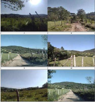 Terreno com 6,65 ha dearea rural em Campo Largo/PR em Campo Largo - Paraná