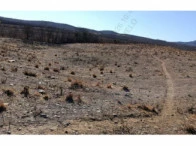 Terreno Malhada Fria em São José do Belmonte/PE em São José Do Belmonte - Pernambuco
