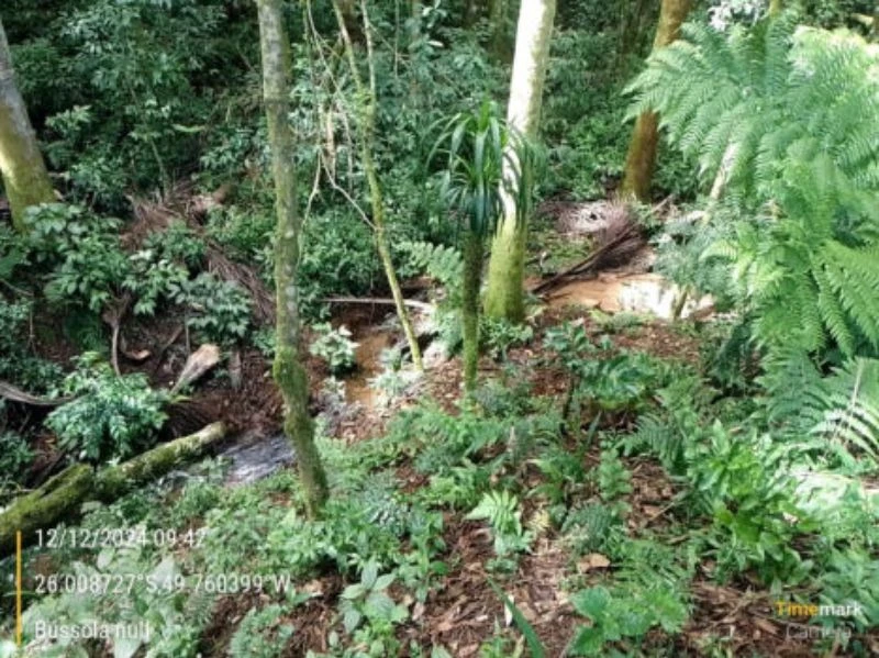 Terreno em Campo do Tenente/PR em Cambé - Paraná