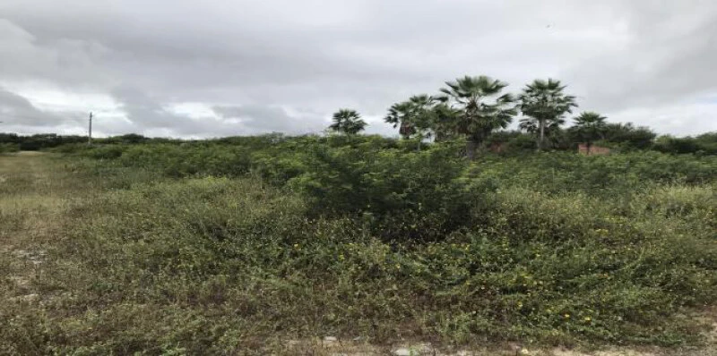 Terreno no Loteamento Chácara Campestre em Chorozinho/CE em Chorozinho - Ceará