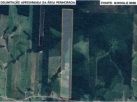 Terreno com 81.49 ha no Vale do Anari/RO em Vale Do Anari - Rondônia