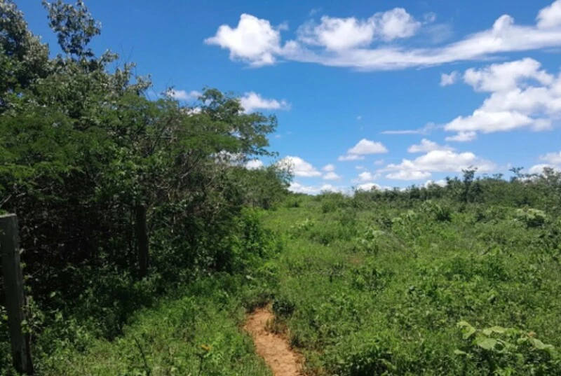 Terreno Fazenda Govi em Coribe/BA em Coribe - Bahia