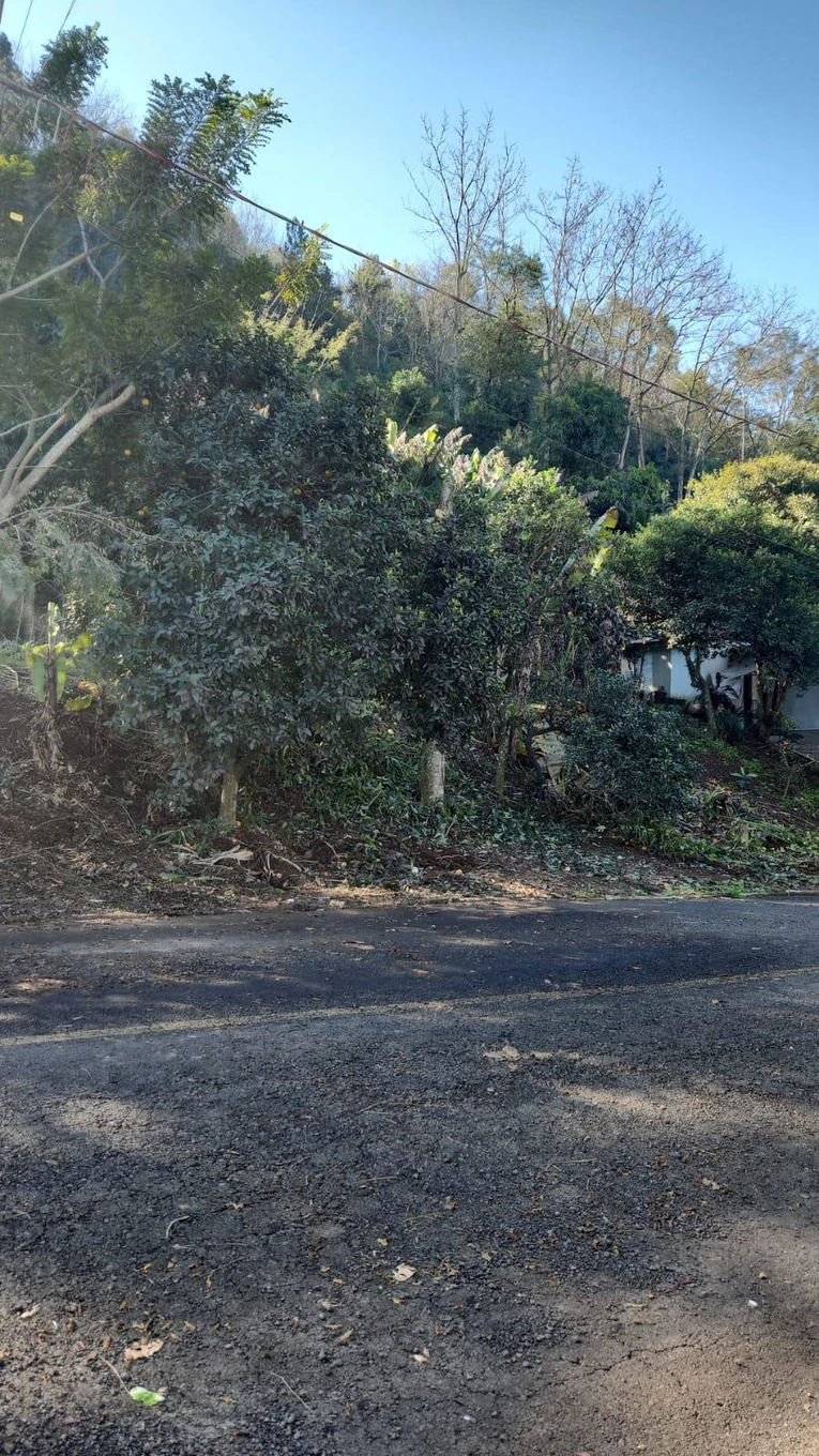 Terreno em Mondai/SC em Mondaí - Santa Catarina