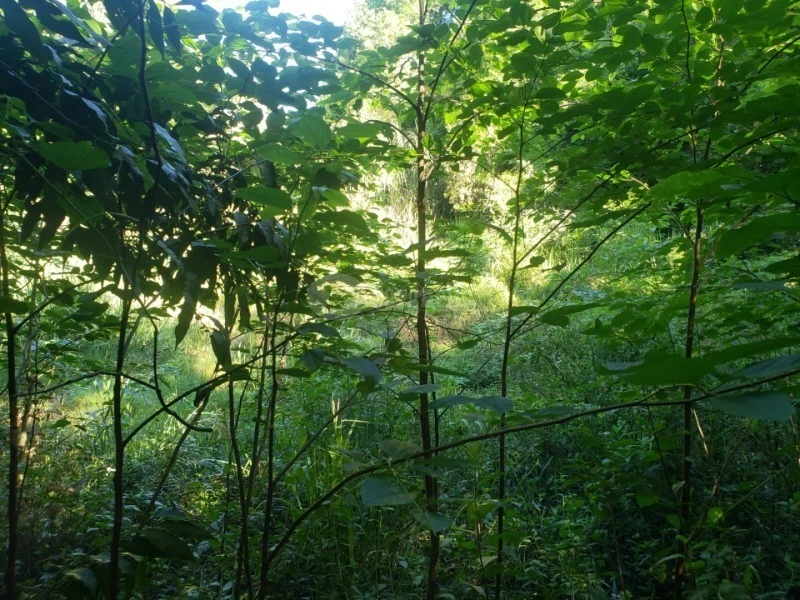 Terreno Fração de terras em Giruá/RS em Giruá - Rio Grande do Sul