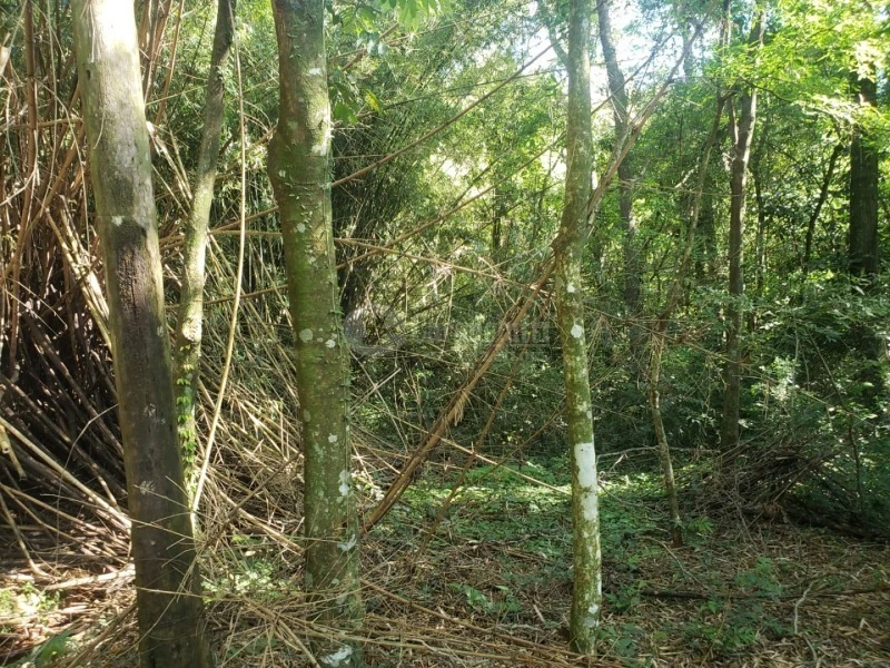 Terreno Fração de terras em Giruá/RS em Giruá - Rio Grande do Sul