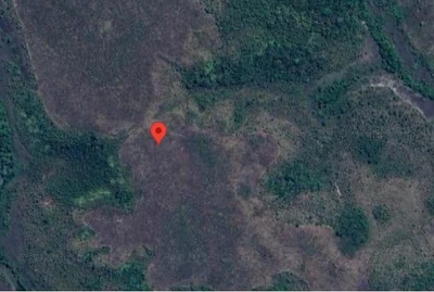 Fazenda Fazenda Santa Rita de Cássia em Rio Sono/TO em Rio Sono - Tocantins