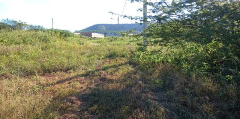 Terreno Lote 10 Quadra 08, Loteamento Jua Ville em Juazeiro do Norte/CE em Juazeiro Do Norte - Ceará